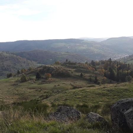 Chalet 3 Etoiles A Gerardmer. Εξωτερικό φωτογραφία