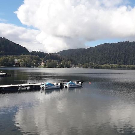 Chalet 3 Etoiles A Gerardmer. Εξωτερικό φωτογραφία