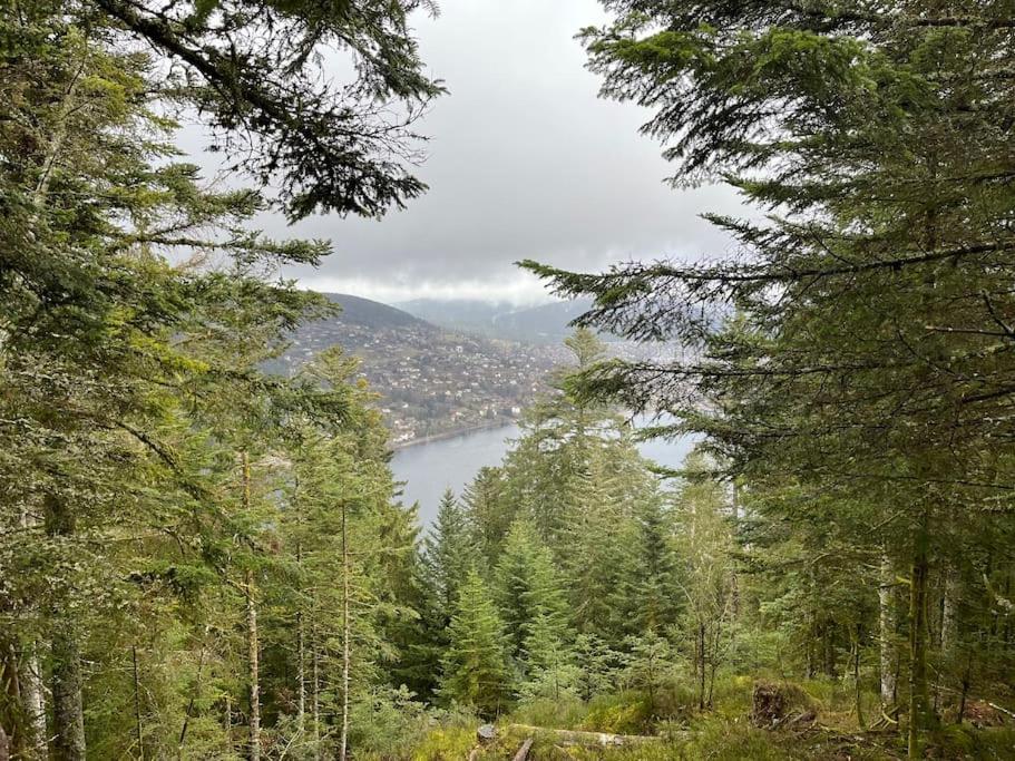 Chalet 3 Etoiles A Gerardmer. Εξωτερικό φωτογραφία