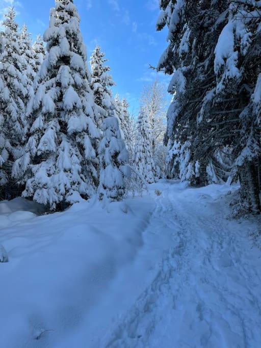 Chalet 3 Etoiles A Gerardmer. Εξωτερικό φωτογραφία