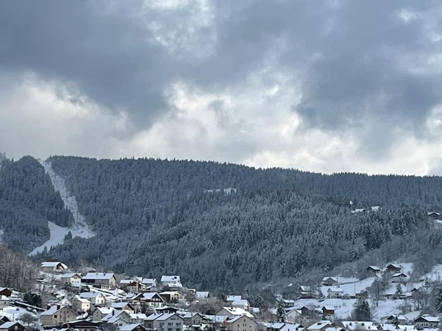 Chalet 3 Etoiles A Gerardmer. Εξωτερικό φωτογραφία
