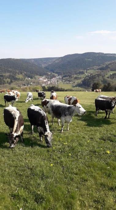 Chalet 3 Etoiles A Gerardmer. Εξωτερικό φωτογραφία