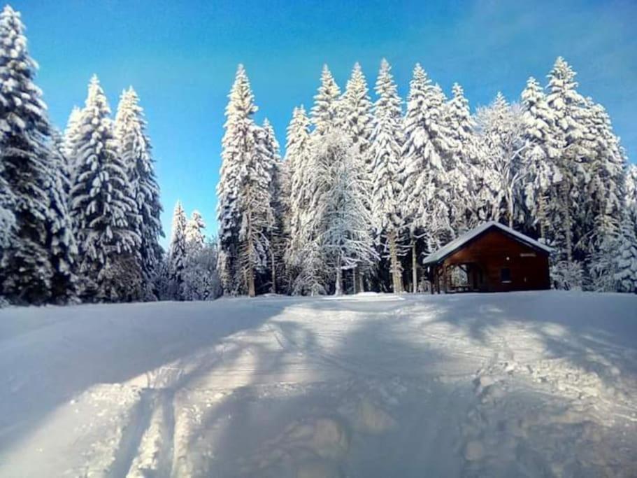 Chalet 3 Etoiles A Gerardmer. Εξωτερικό φωτογραφία
