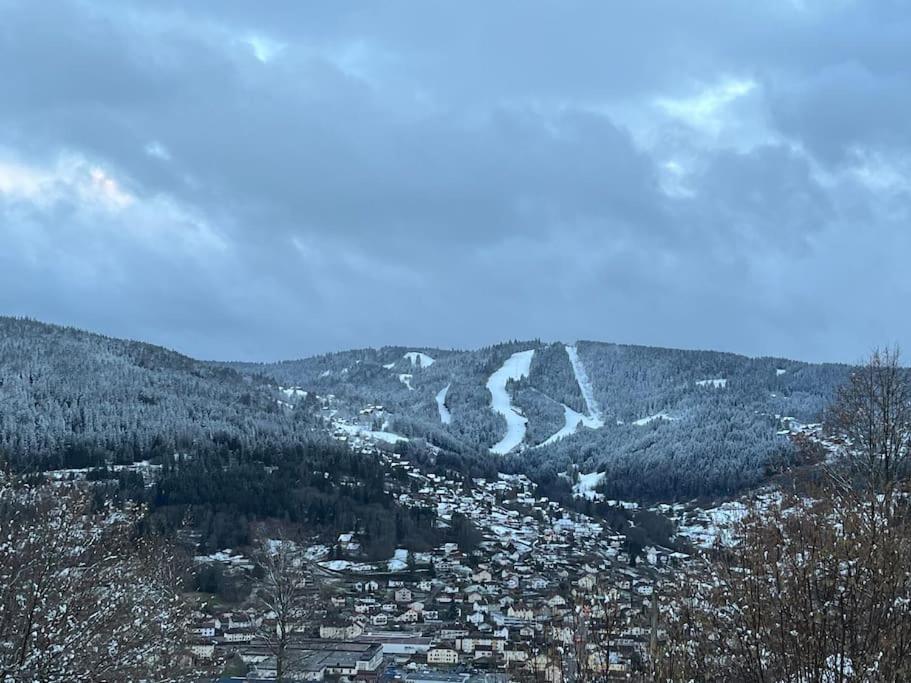 Chalet 3 Etoiles A Gerardmer. Εξωτερικό φωτογραφία