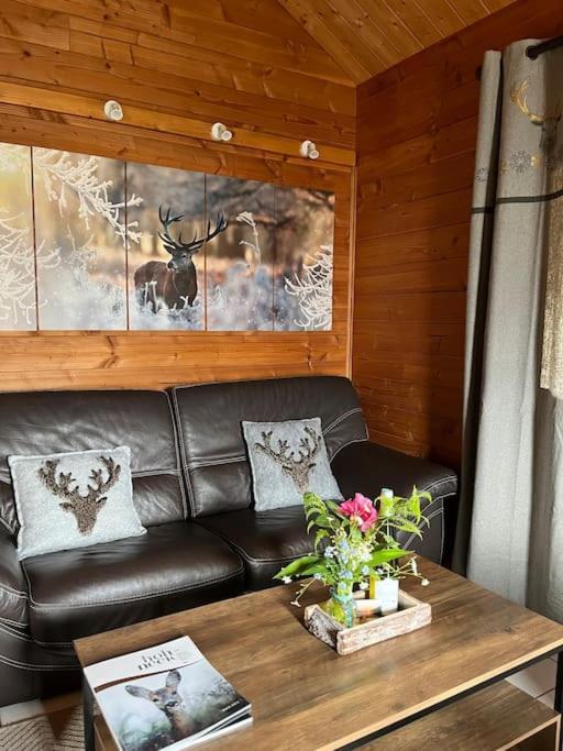 Chalet 3 Etoiles A Gerardmer. Εξωτερικό φωτογραφία