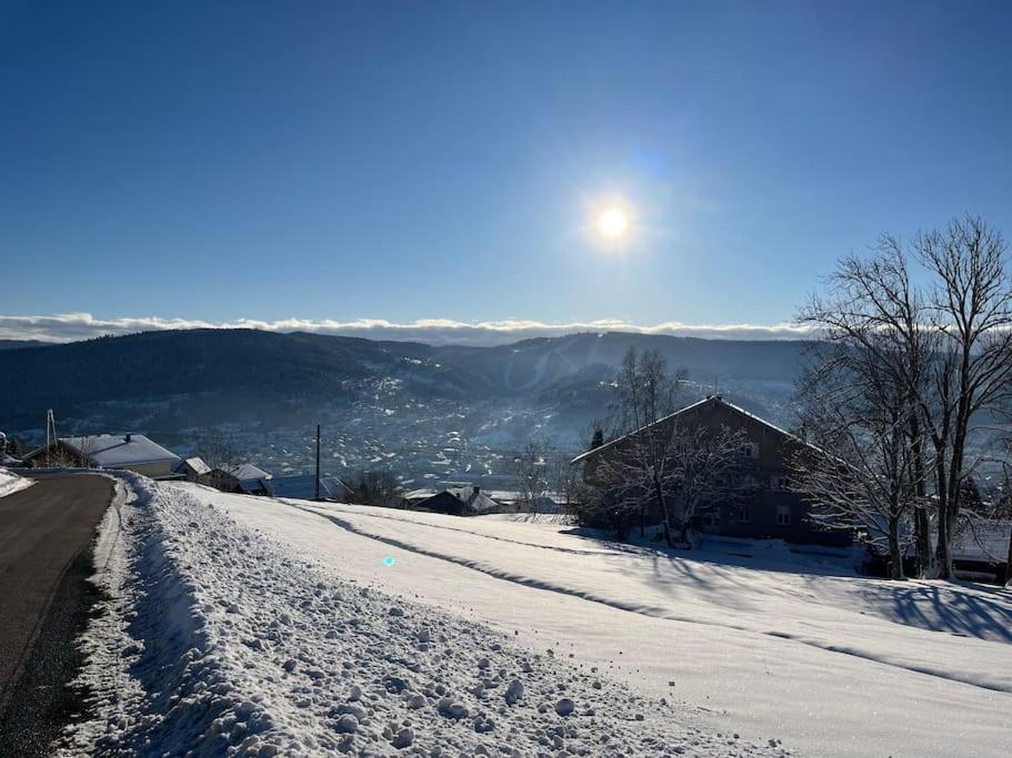 Chalet 3 Etoiles A Gerardmer. Εξωτερικό φωτογραφία