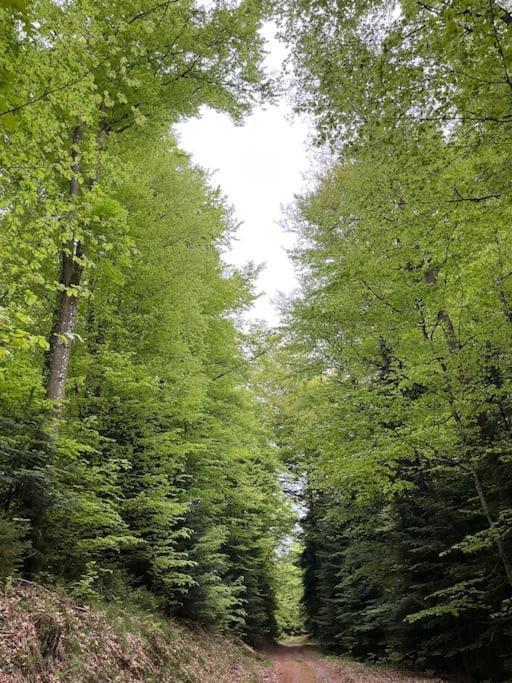 Chalet 3 Etoiles A Gerardmer. Εξωτερικό φωτογραφία