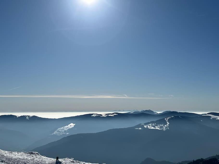 Chalet 3 Etoiles A Gerardmer. Εξωτερικό φωτογραφία