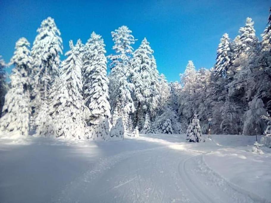 Chalet 3 Etoiles A Gerardmer. Εξωτερικό φωτογραφία