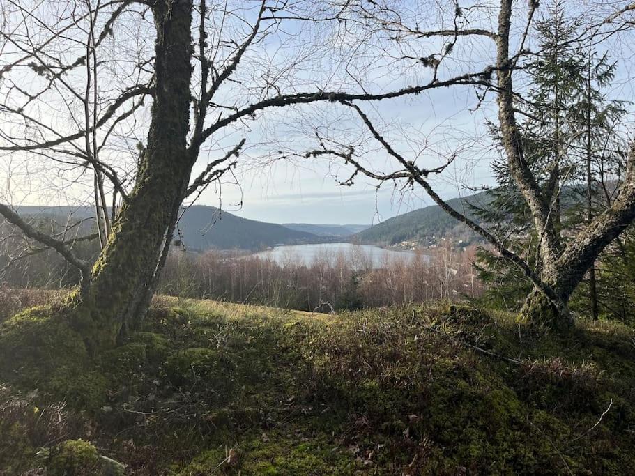 Chalet 3 Etoiles A Gerardmer. Εξωτερικό φωτογραφία