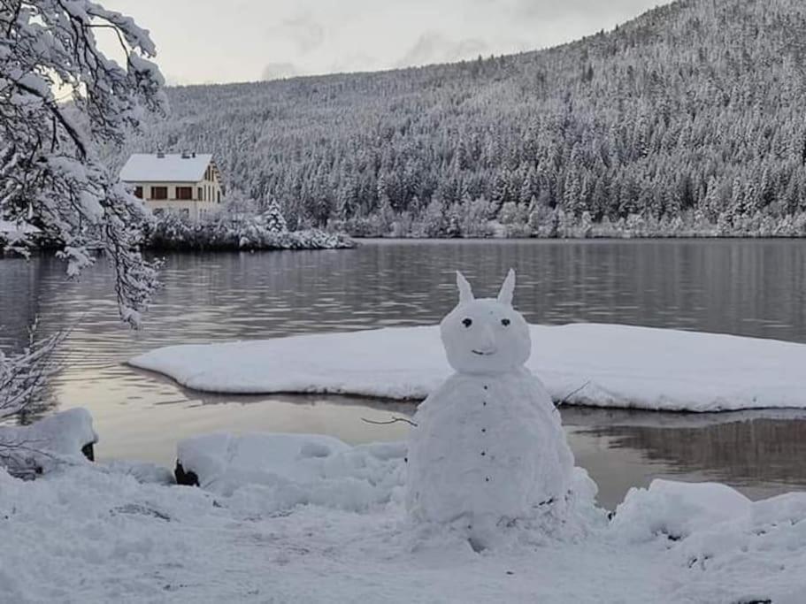 Chalet 3 Etoiles A Gerardmer. Εξωτερικό φωτογραφία