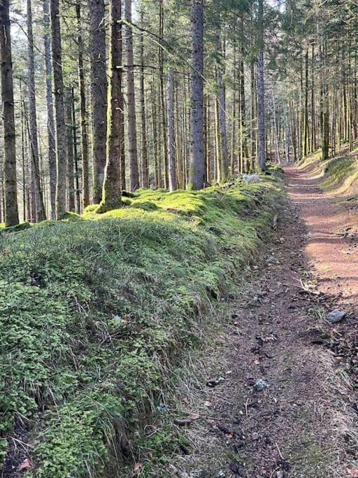 Chalet 3 Etoiles A Gerardmer. Εξωτερικό φωτογραφία