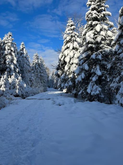 Chalet 3 Etoiles A Gerardmer. Εξωτερικό φωτογραφία