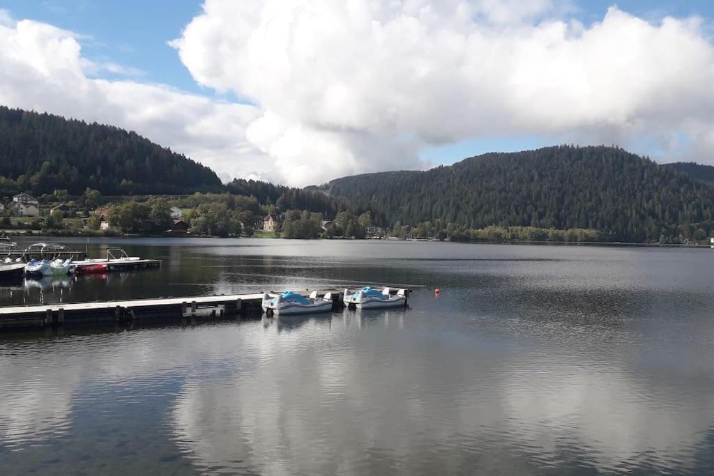Chalet 3 Etoiles A Gerardmer. Εξωτερικό φωτογραφία