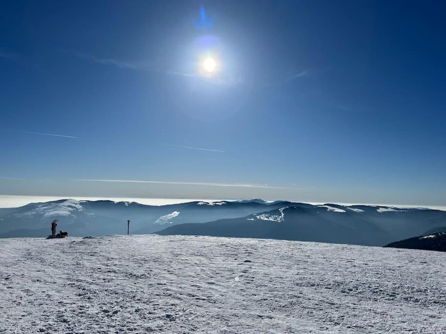 Chalet 3 Etoiles A Gerardmer. Εξωτερικό φωτογραφία