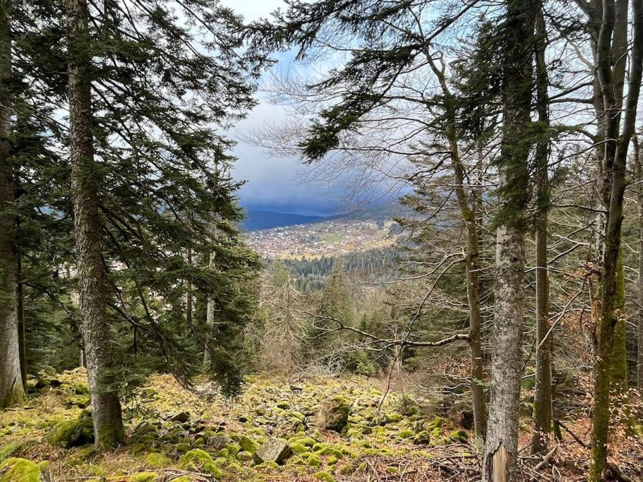 Chalet 3 Etoiles A Gerardmer. Εξωτερικό φωτογραφία